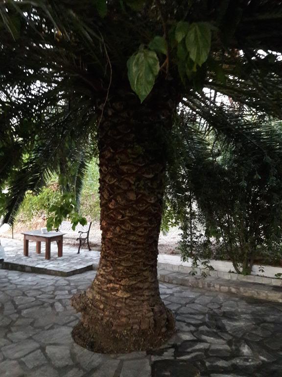 Kesi Holiday Home Ποτιστικά Εξωτερικό φωτογραφία